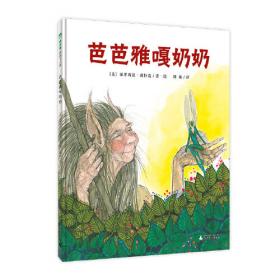 2006中国水利发展报告