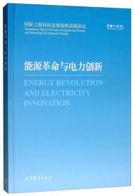 中国能源中长期（2030、2050）发展战略研究：电力·油气·核能·环境卷