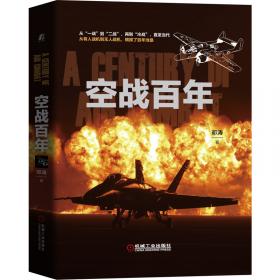 空战:二十世纪血战纪实