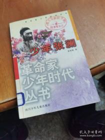 少年杨闇公