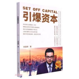 引爆控制原理/工业和信息化部“十二五”规划教材