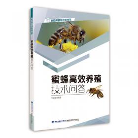 实用养蜂技术