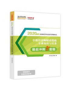 2020年初级会计实务应试指导中华会计网校梦想成真