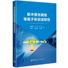 脉冲数字电路:修订本