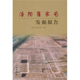 洛阳皂角树：1992-1993年洛阳皂角树二里头文化聚落遗址发掘报告