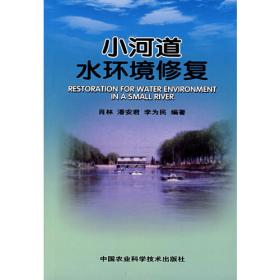 心血管介入治疗实用技术系列丛书：心脏介入治疗并发症防治