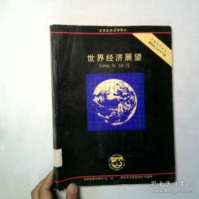 全球金融稳定报告：在未来的金融挑战中破浪前行