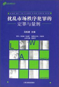 定罪与量刑丛书：盗窃罪的定罪与量刑（修订版）