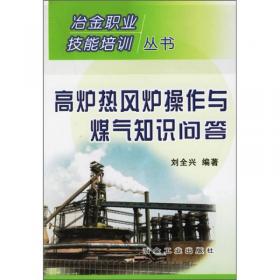 冶金职业技能培训丛书：高炉热风炉操作与煤气知识问答（第2版）