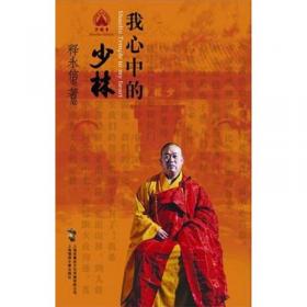 我心中的少林