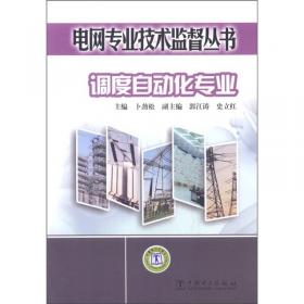 电网专业技术监督丛书 : 继电保护专业