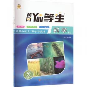 名师特训：小学英语阅读强化训练100篇（4年级）