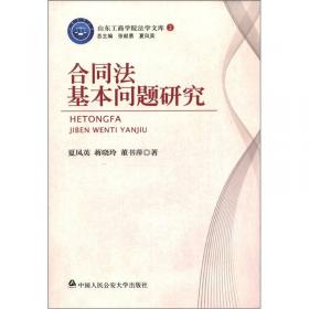 山东工商学院法学文库（2）：法律适用规则研究