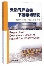 天然气产业链可持续发展研究
