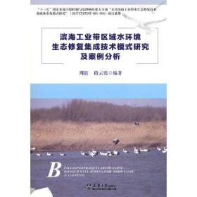 滨海新区发展报告（2013）