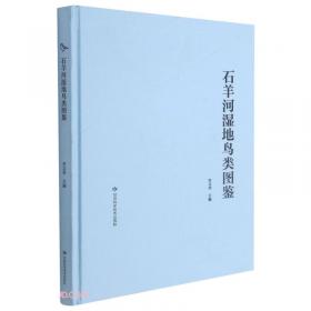 区域一体化背景下慈善信托法律问题研究