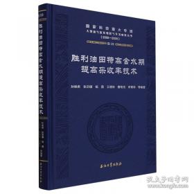 胜利油田勘探开发研究院六十年理论技术文集 勘探篇