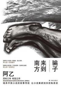 骗子的化装表演（《白鲸》作者麦尔维尔生前出版最后一部长篇！中文版首次翻译！双重密写的讽世之书！）