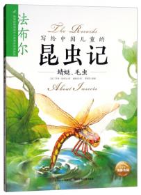蜻蜓运动会/加古里子经典故事系列