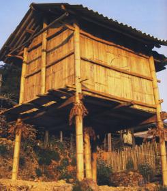 非物质文化遗产的田野图像：北班榜村的瓦猫