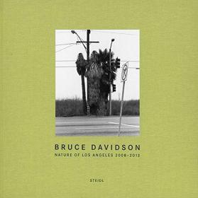 Bruce Davidson：Outside Inside