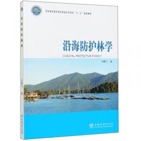 沿海港口航道仿真理论与实验指南（第2版）（全国水利行业“十三五”规划教材（普通高等教育））