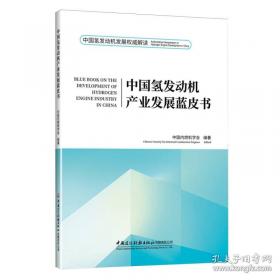内部审计实务标准