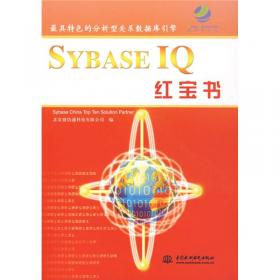 SYBASE数据库系统基础知识 （特价/封底打有圆孔）