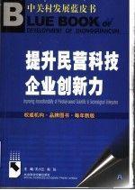 中国企业竞争力报告.2006.创新与竞争.2006.Innovation and competitiveness