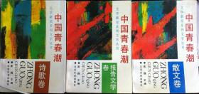 武汉大学刑法博士文丛（6）：贩卖毒品罪研究