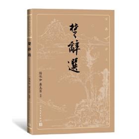 中国诗史