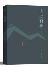 山上的云朵：2019—2020年安徽省中篇小说精品集