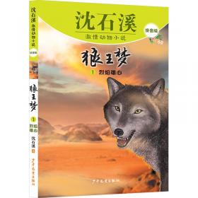 沈石溪激情动物小说  