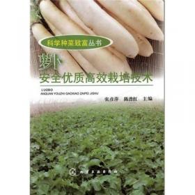 科学种菜致富丛书：莴苣、芽苗菜安全优质高效栽培技术