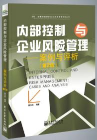 内部控制与企业风险管理：实务操作指南（第2版）