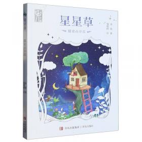 星星湖数学奇遇/越读越聪明的数学思维故事