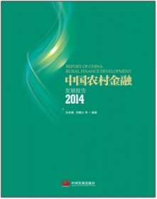 中国农村金融发展报告2016