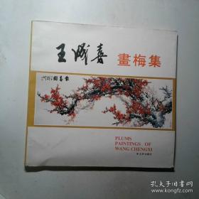 王成太极（下卷）