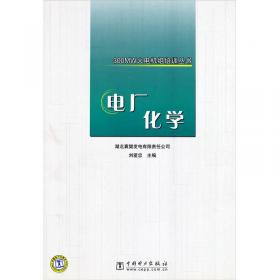 电气设备及运行/300MW火电机组培训丛书