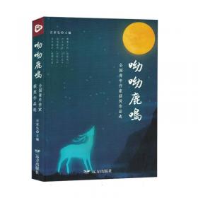 岁月之歌:青年作家作品选 中国文学名著读物 汪家弘主编