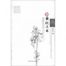 大上海小创业：创业淘宝生意经