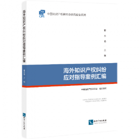 国际知识产权环境研究及中国实务教程