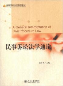 法学理念·实践·创新丛书：实现正义的选择与规范