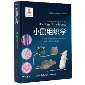 小鼠雕像（童话猎人计划）（全彩，第34届陈伯吹国际儿童文学奖获奖作品，打造更适合中国孩子的桥梁书）