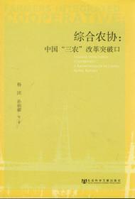 综合农协中国“三农”改革突破口（2015年卷）