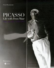 Picasso'S Masterpieces 英文原版