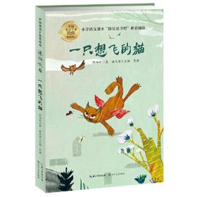 中国儿童大视野丛书--一只想飞的猫（全彩插图版）