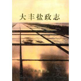 大丰年鉴.2001