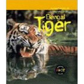 Bengal Nights：A Novel