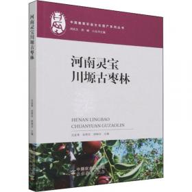 河南人民出版社 民国专题史丛书 现代欧洲外交史(全2册)